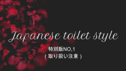 Japanese toilet style.特別版NO,1