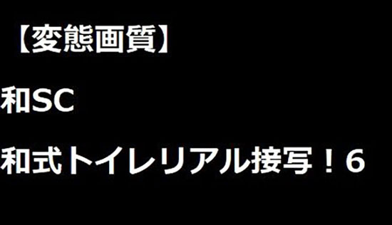 【変態画質】和SC　和式トイレリアル接写！6